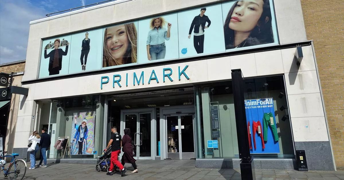 Primark’s ‘Pretty’ £ 15 Bag Is ‘Just like’ £ 2,870 Bottega Veneta Version