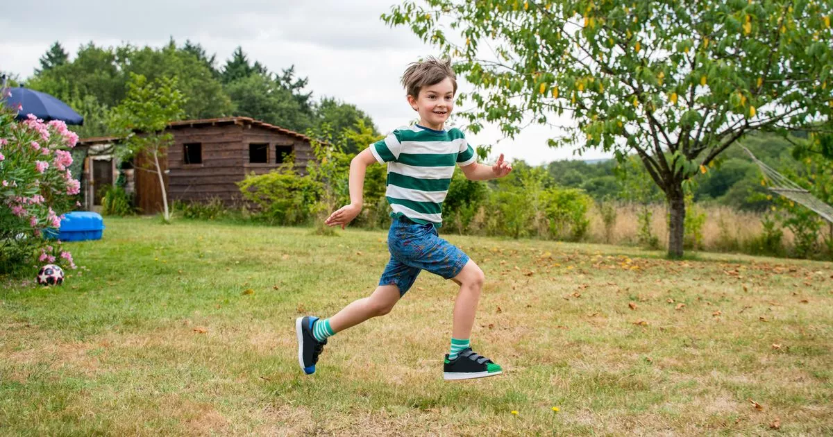 ‘My Neighbour’s Child Keeps Playing in My Garden – But She’s The One Furious at Me’