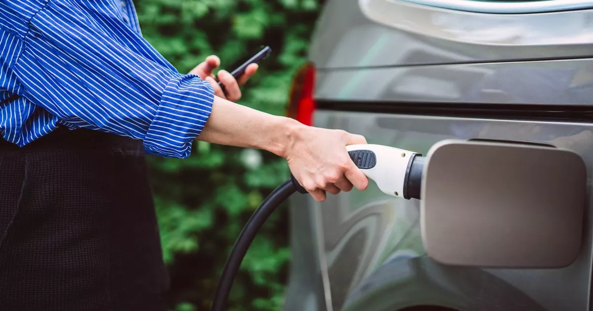 Young Drivers happy to pay £ 16k More for ELECTRIC CARS BECAuse they ‘suit’ say