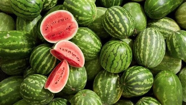 البطيخ وصحة الكلى | الحق والضلال