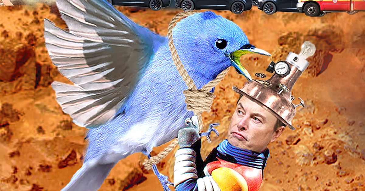 A Close Read of Elon Musk’s Twitter Feed