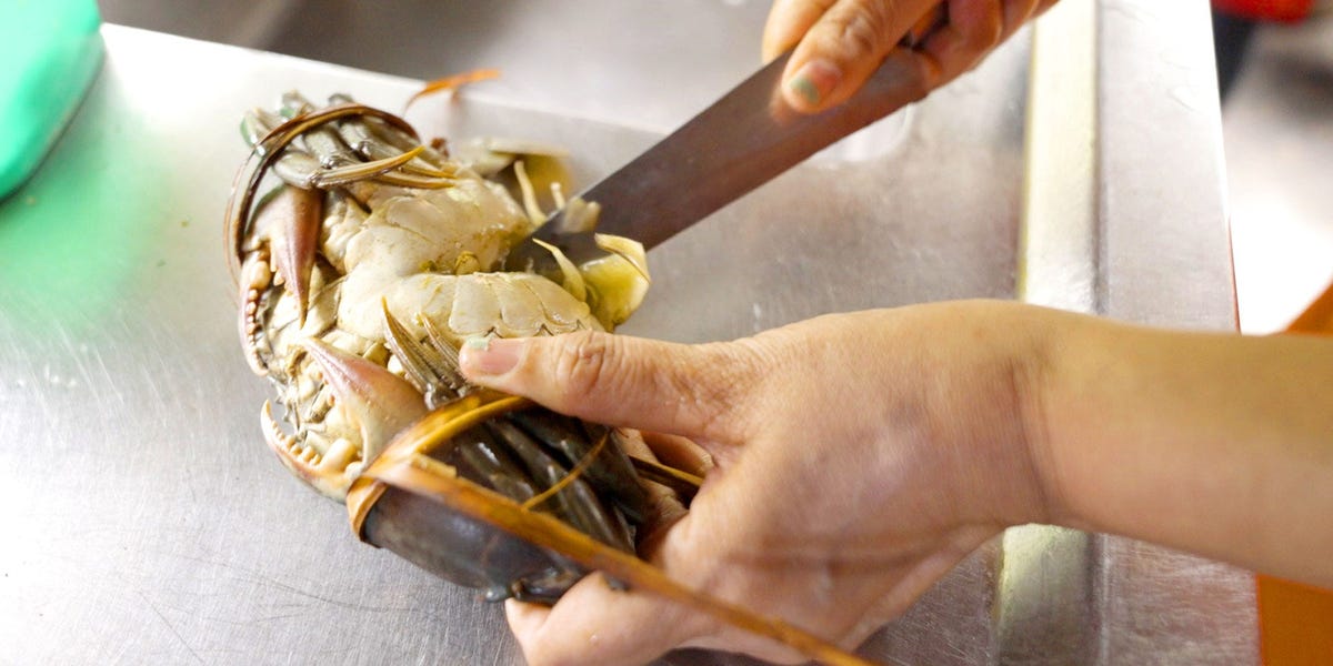 Why Indonesia’s Mud Crab Industry COULD GO EXINCT