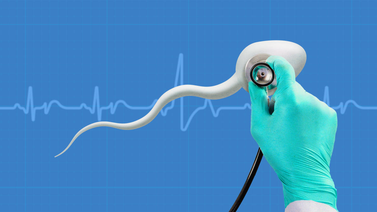 Do you have High-Quality Sperm? What it can be telit you are your health – and why it is key to a healthy pregnancy and kid.