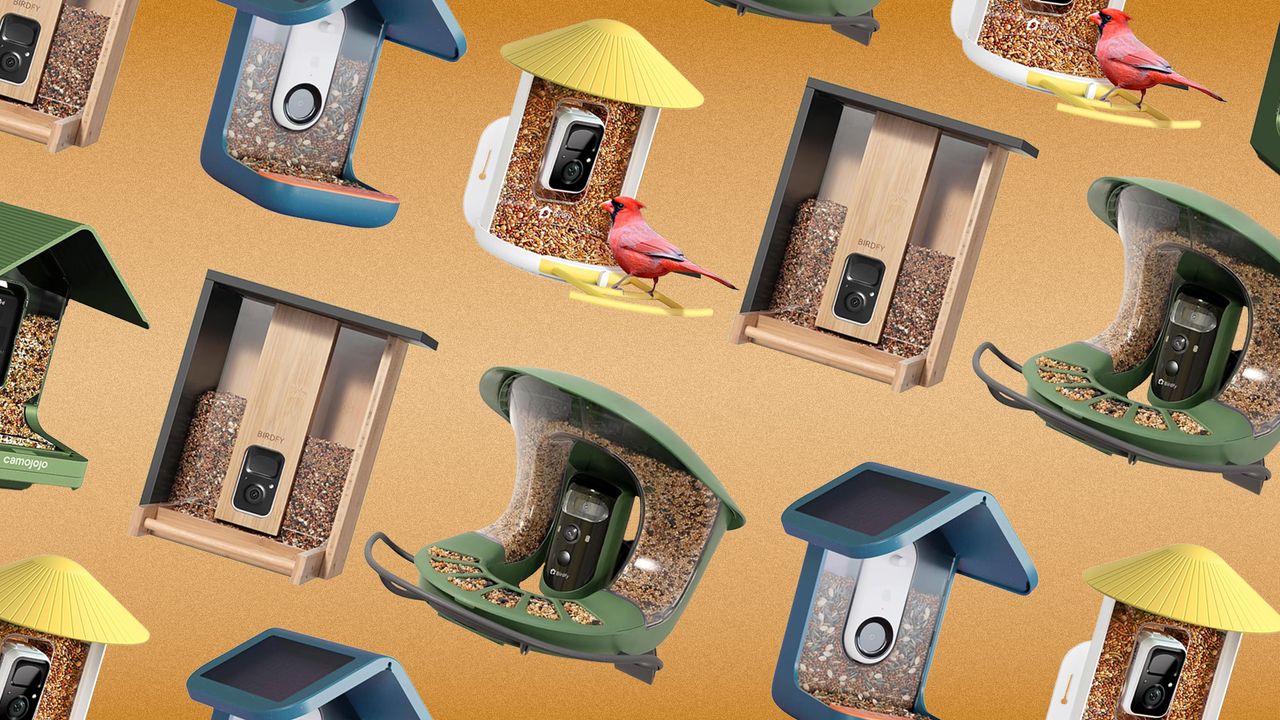 7 Best Smart Bird Feeders, Acciting to Experts (2025)