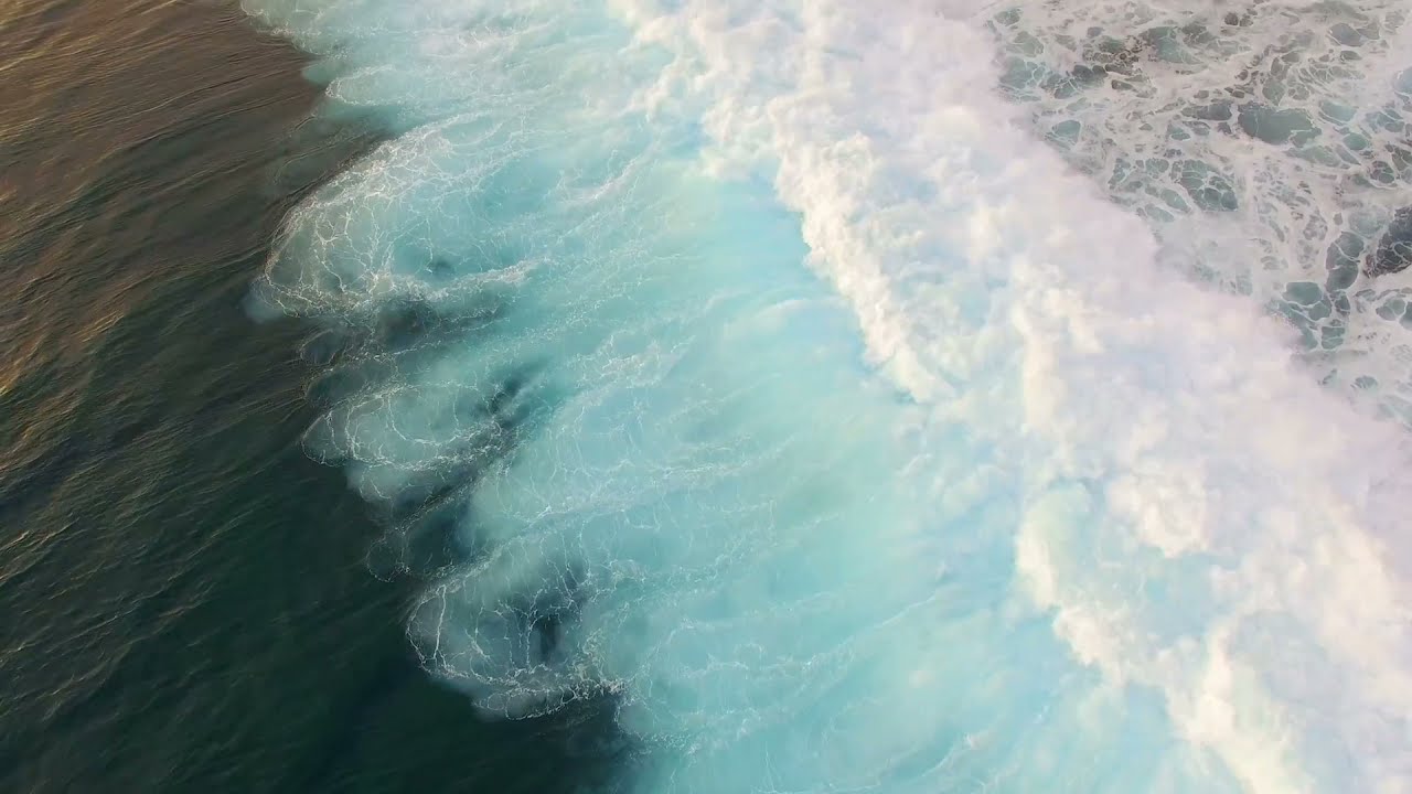 جمال البحر والشاطئ والنخيل – The beauty of the sea, beach and palms