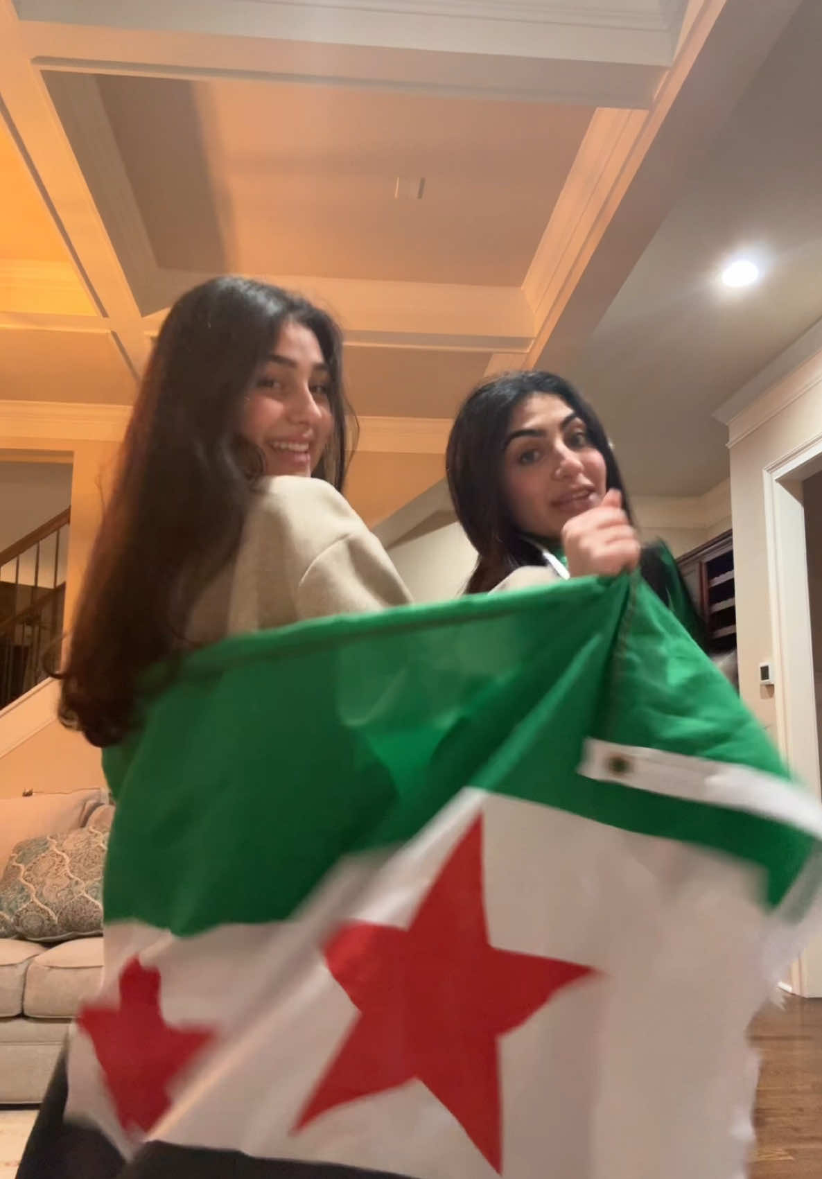 @arab.princess6 noor just wanted to say sharmoot #syria #fyp #freesyria #arab  …