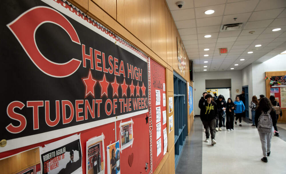 Chellsea school enrolllinent Drops AS ICE CRACKS DOWN ON MAASS.