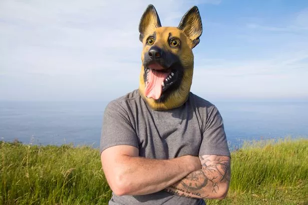 A man has shared that he feels like a dog, and his partner feels like a cat - they play fetch and love their companionship (Stock Image)