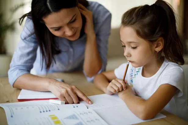 A parent has appealed for help after being 'drive insane' by her seven -ear Old's homework (Stock Image)