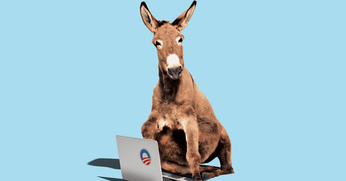Do Democrats Have a Digital Strategy for the 2020 Election?