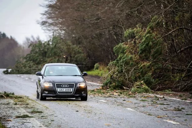 It can be Scary and Dangerous to Drive During a Storm - but there are some precutes you can take (file)