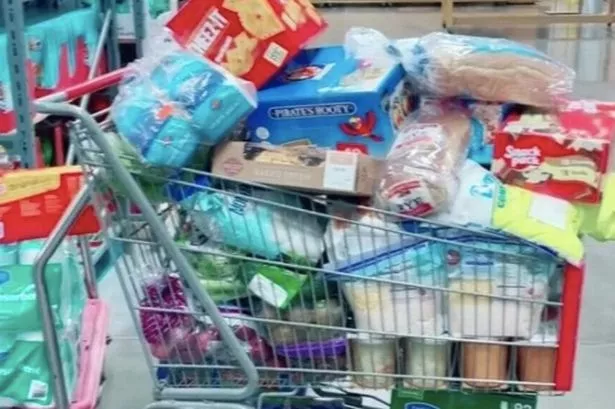 Alicia Dougherty Spends a Small Fortune Feeding HER FAMILY EVERY WEEK 