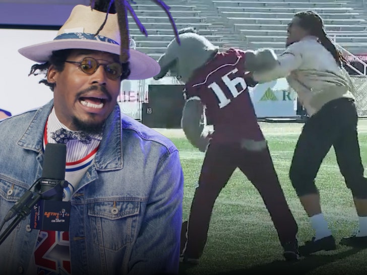cam newton fight with mascot 1
