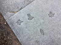 Photo by Sheila Webber of outines of leaves on the pavement in Vancouver Canada in May 2024