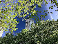 Photo by Sheila Webber of spring trees and reflections in a glass skyscraper in Vancouver Canada in May 2024