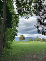 Photo by Sheila Webber: chestnut tree in Stanley Park, Vancouver, Canada, May 2024
