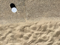 Photo by Sheila Webber of a takeaway coffee cp on the Beach in Bournemouth in June 2024