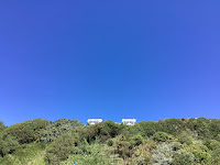 Photo by Sheila Webber of a Blue Summer Sky and Some Greenery in Bournemouth in June 2024