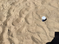Photo by Sheila Webber of A Takeaway Coffee on the Sandy Beach in June 2024