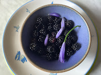 Photo by Sheila Webber of a Blue Pottery Bowl Containing Foraded Blackberries with a few agapanthus buds and that is standing on a blue bird plat in august 2024