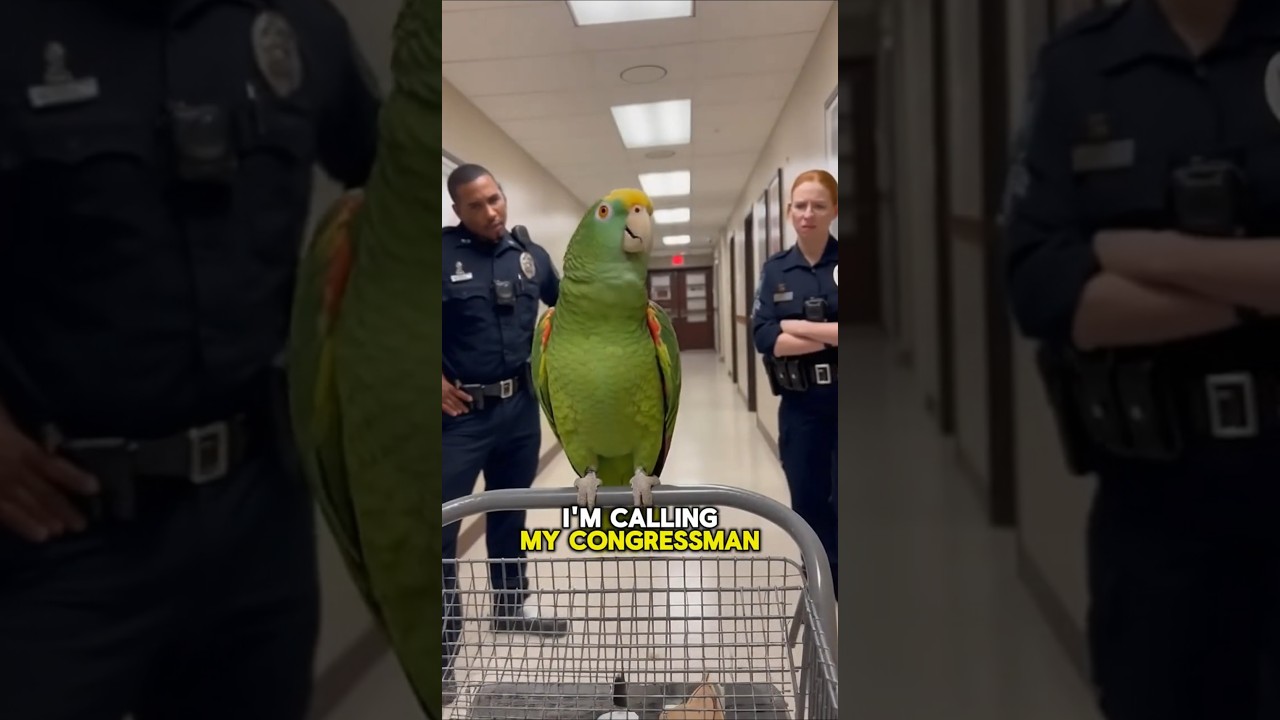 PARROT Exposes Cop’s Wife’s Bar Secrets! 🦜😂