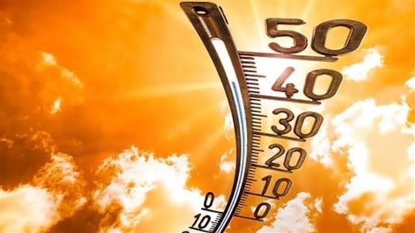 عرض المزيد…